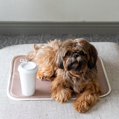 Cool Pet Pad